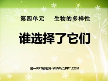 ˭ѡǡĶPPTμ3