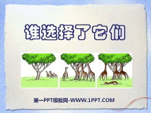 ˭ѡǡĶPPTμ4