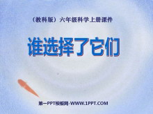 ˭ѡǡĶPPTμ5
