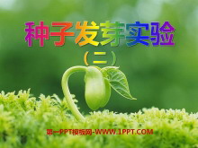 ӷѿʵ()뻷PPTμ2
