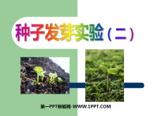 ӷѿʵ()뻷PPTμ3