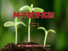 ӷѿʵ()뻷PPTμ4