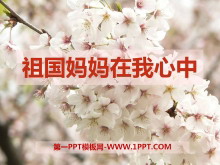 СҰPPTμ4