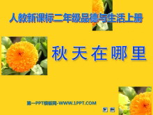 ɫPPTμ