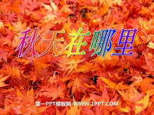 ɫPPTμ3
