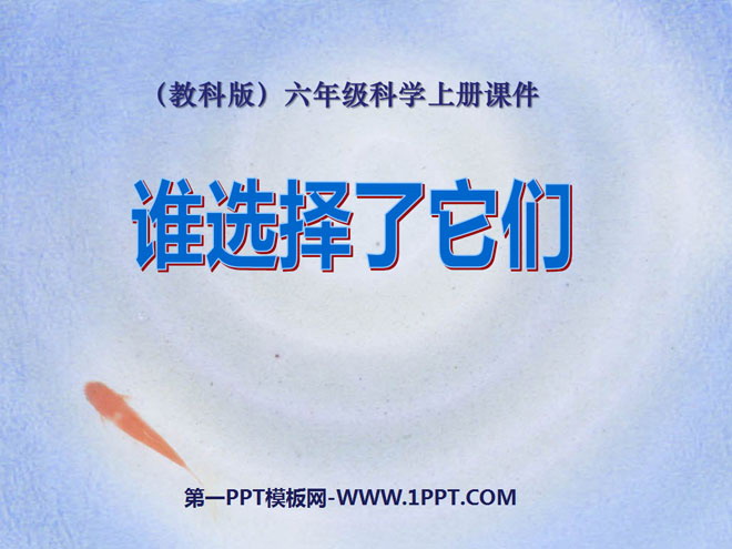 ˭ѡǡĶPPTμ5
