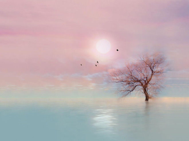 Ψɫ̫ľPPTͼƬ