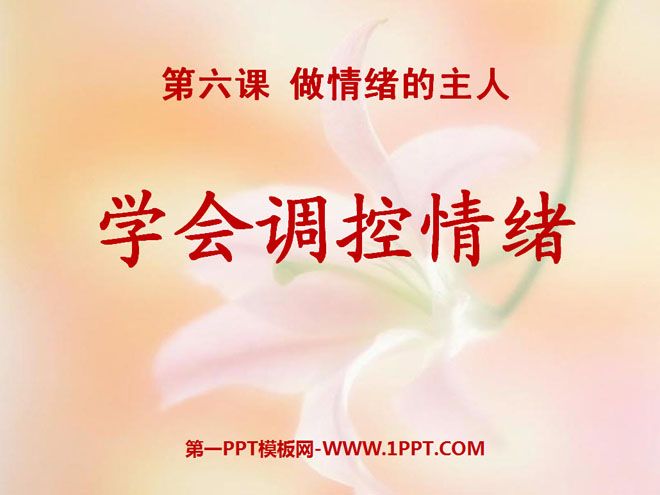 ѧPPTμ