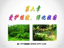 ֲ̻PPTμ3