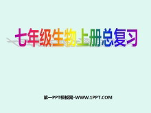 꼶ϲܸϰPPTμ2