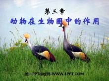 ȦеáPPTμ