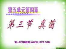 ϸPPTμ6