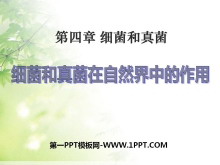 ϸȻеáϸPPTμ7