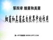 ϸȻеáϸPPTμ5