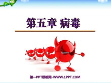 PPTμ2