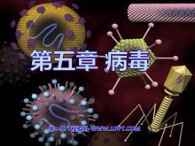 PPTμ3