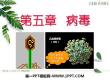 PPTμ4