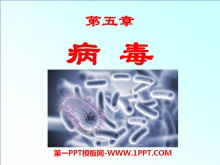 PPTμ5