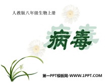 PPTμ7