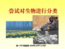 ԶзࡷзPPTμ