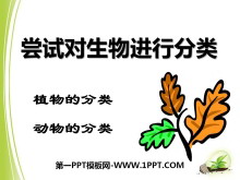ԶзࡷзPPTμ3