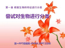 ԶзࡷзPPTμ4
