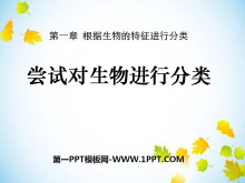 ԶзࡷзPPTμ7