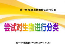 ԶзࡷзPPTμ9