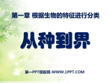 ֵ硷зPPTμ3
