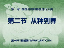 ֵ硷зPPTμ5