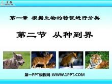 ֵ硷зPPTμ