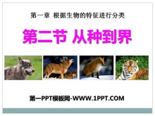 ֵ硷зPPTμ2
