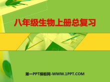 꼶ϲܸϰPPTμ