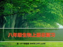꼶ϲܸϰPPTμ4