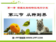 ֵ硷зPPTμ6