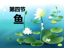 㡷ҪȺPPTμ6