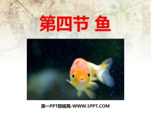 㡷ҪȺPPTμ2