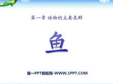 㡷ҪȺPPTμ4