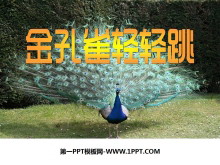 ȸPPTμ2