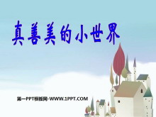 С硷PPTμ2