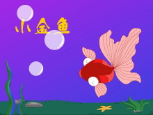 С㡷Flashμ
