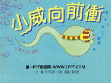 Сǰ塷汾PPT