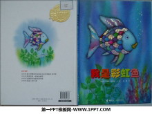ǲʺ㡷汾PPT