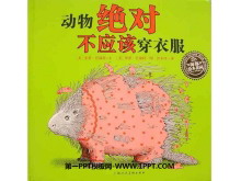 ԲӦô·汾PPT