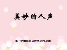PPTμ