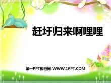 ׹PPTμ5