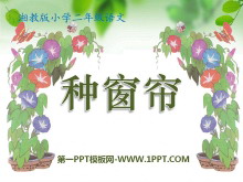 ִPPTμ2