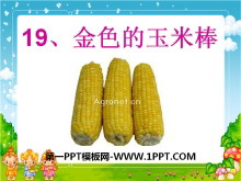 ɫװPPTμ2