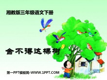 ᲻PPTμ4