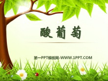 ѡPPTμ